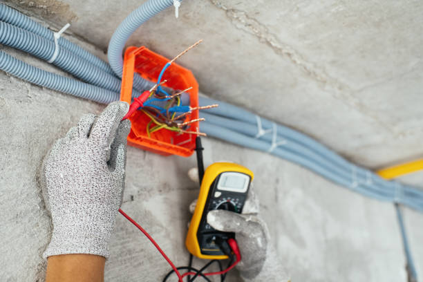 Best Electric Panel Repair  in Dike, IA
